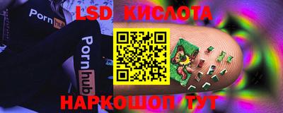 СК Краснодар