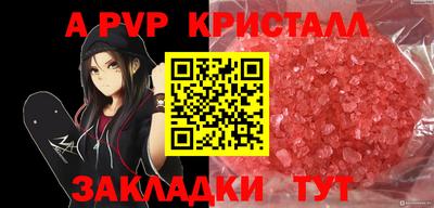 СК Краснодар